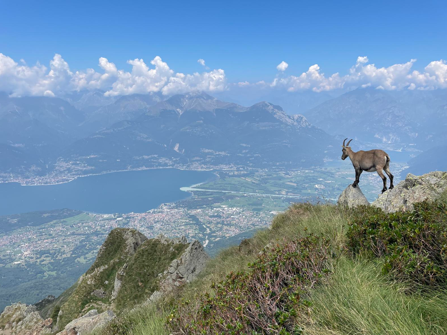 Sua maestà il Monte Legnone dal rifugio Roccoli Lorla (LC)